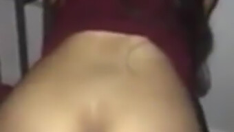 Penis-Focused Whatsapp Video Celebrates A Birthday With A Big Latina Cock