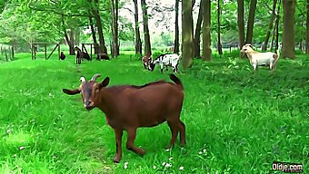 Děda Si Užívá Mladého Teenagera A Dává Mu Orální Potěšení