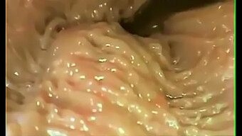 Eksplorasi Close-Up Dari Penetrasi Vagina